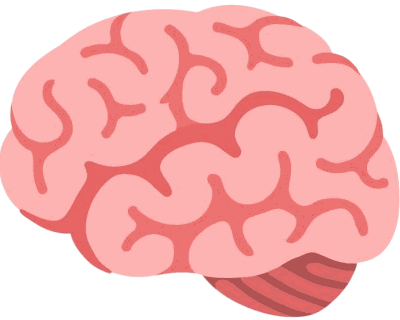 Zero_braincells